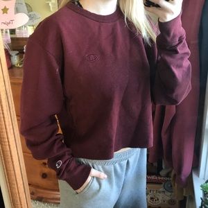 cropped champion sweatshirt